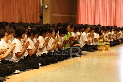 MCT081 Copy.JPG